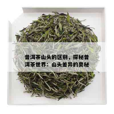 普洱茶山头的区别，探秘普洱茶世界：山头差异的奥秘