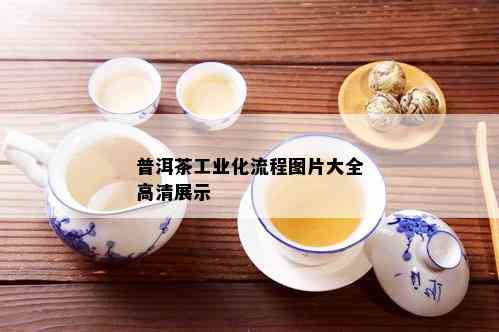 普洱茶工业化流程图片大全高清展示