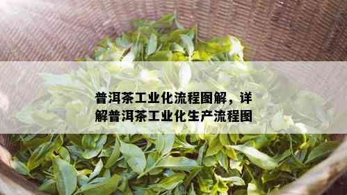 普洱茶工业化流程图解，详解普洱茶工业化生产流程图