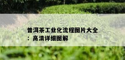 普洱茶工业化流程图片大全：高清详细图解