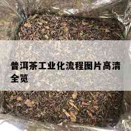 普洱茶工业化流程图片高清全览