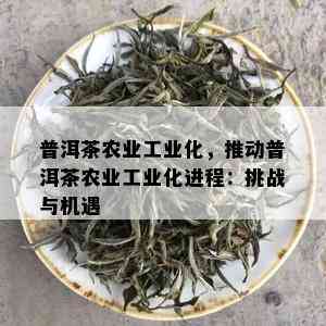 普洱茶农业工业化，推动普洱茶农业工业化进程：挑战与机遇