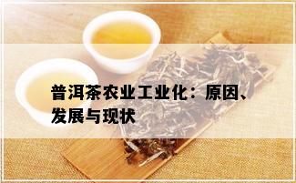 普洱茶农业工业化：原因、发展与现状