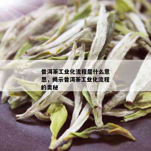 普洱茶工业化流程是什么意思，揭示普洱茶工业化流程的奥秘