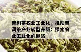 普洱茶农业工业化，推动普洱茶产业转型升级：探索农业工业化的道路