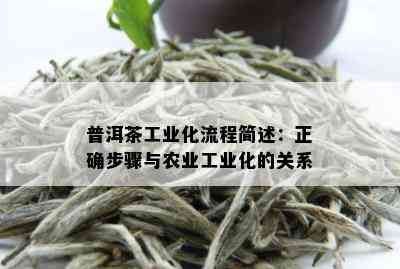 普洱茶工业化流程简述：正确步骤与农业工业化的关系