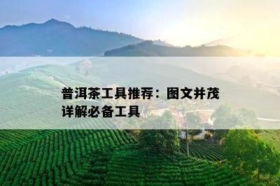 普洱茶工具推荐：图文并茂详解必备工具