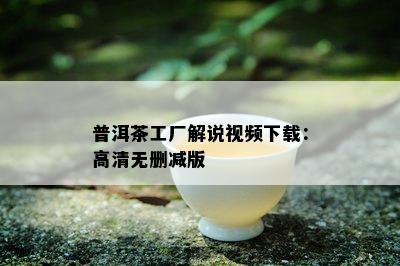 普洱茶工厂解说视频下载：高清无删减版