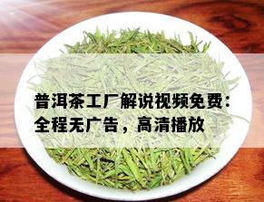 普洱茶工厂解说视频免费：全程无广告，高清播放