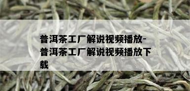 普洱茶工厂解说视频播放-普洱茶工厂解说视频播放下载