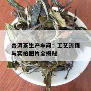 普洱茶生产车间：工艺流程与实拍图片全揭秘