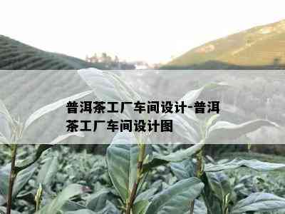 普洱茶工厂车间设计-普洱茶工厂车间设计图