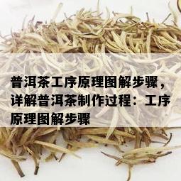 普洱茶工序原理图解步骤，详解普洱茶制作过程：工序原理图解步骤