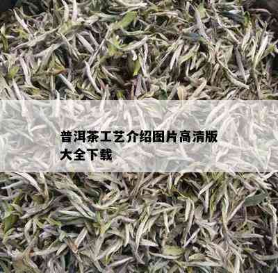 普洱茶工艺介绍图片高清版大全下载