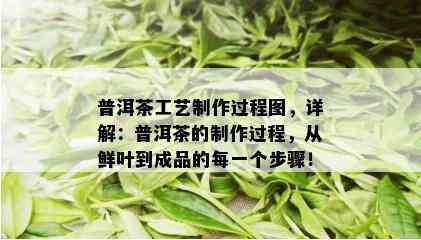 普洱茶工艺制作过程图，详解：普洱茶的制作过程，从鲜叶到成品的每一个步骤！