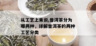 从工艺上来说,普洱茶分为哪两种，详解普洱茶的两种工艺分类