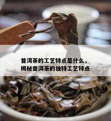 普洱茶的工艺特点是什么，揭秘普洱茶的独特工艺特点