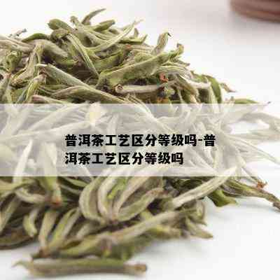 普洱茶工艺区分等级吗-普洱茶工艺区分等级吗