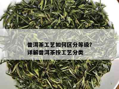 普洱茶工艺如何区分等级？详解普洱茶按工艺分类