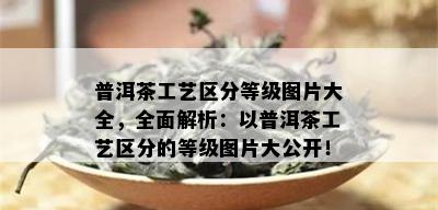 普洱茶工艺区分等级图片大全，全面解析：以普洱茶工艺区分的等级图片大公开！