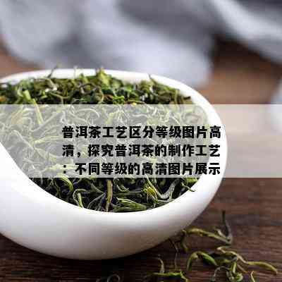 普洱茶工艺区分等级图片高清，探究普洱茶的制作工艺：不同等级的高清图片展示