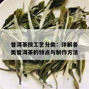 普洱茶按工艺分类：详解各类普洱茶的特点与制作方法