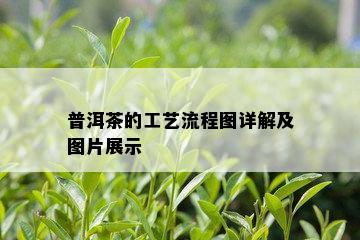 普洱茶的工艺流程图详解及图片展示