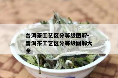 普洱茶工艺区分等级图解-普洱茶工艺区分等级图解大全