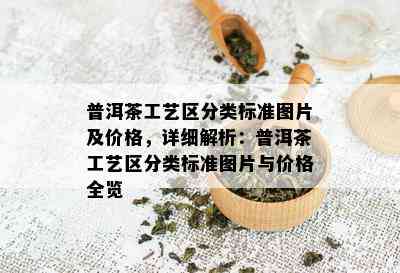 普洱茶工艺区分类标准图片及价格，详细解析：普洱茶工艺区分类标准图片与价格全览