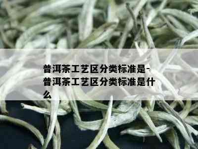 普洱茶工艺区分类标准是-普洱茶工艺区分类标准是什么