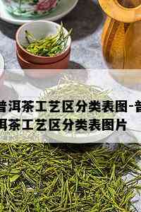 普洱茶工艺区分类表图-普洱茶工艺区分类表图片