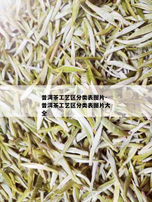 普洱茶工艺区分类表图片-普洱茶工艺区分类表图片大全