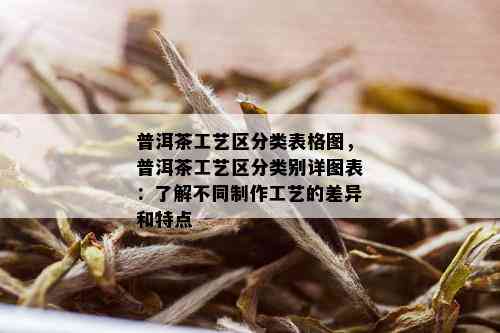 普洱茶工艺区分类表格图，普洱茶工艺区分类别详图表：了解不同制作工艺的差异和特点