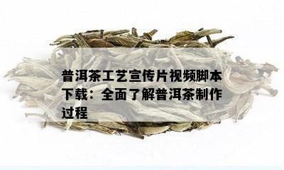 普洱茶工艺宣传片视频脚本下载：全面了解普洱茶制作过程