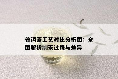 普洱茶工艺对比分析图：全面解析制茶过程与差异