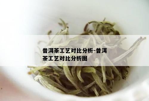 普洱茶工艺对比分析-普洱茶工艺对比分析图