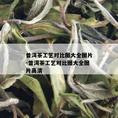 普洱茶工艺对比图大全图片-普洱茶工艺对比图大全图片高清