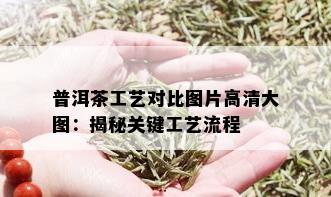 普洱茶工艺对比图片高清大图：揭秘关键工艺流程