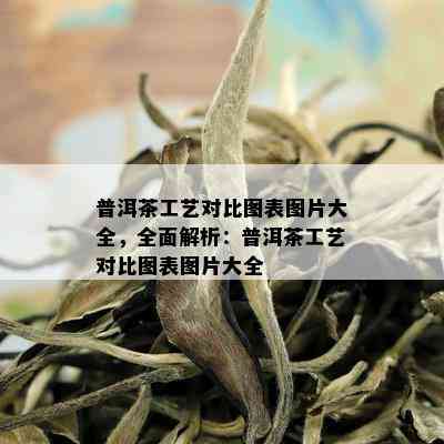 普洱茶工艺对比图表图片大全，全面解析：普洱茶工艺对比图表图片大全