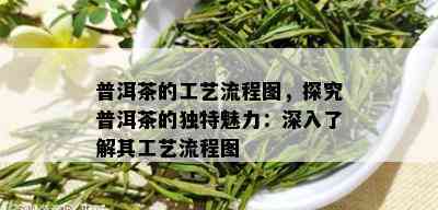 普洱茶的工艺流程图，探究普洱茶的独特魅力：深入了解其工艺流程图