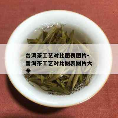 普洱茶工艺对比图表图片-普洱茶工艺对比图表图片大全