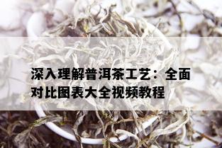 深入理解普洱茶工艺：全面对比图表大全视频教程