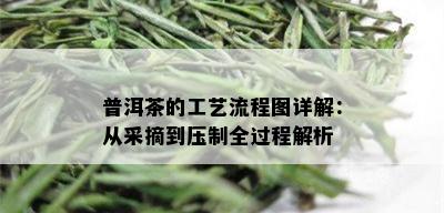 普洱茶的工艺流程图详解：从采摘到压制全过程解析