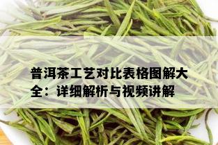 普洱茶工艺对比表格图解大全：详细解析与视频讲解