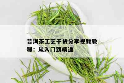 普洱茶工艺干货分享视频教程：从入门到精通