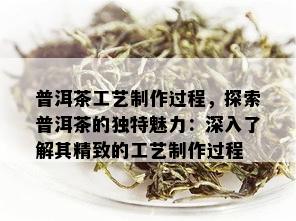 普洱茶工艺制作过程，探索普洱茶的独特魅力：深入了解其精致的工艺制作过程