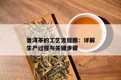 普洱茶的工艺流程图：详解生产过程与关键步骤