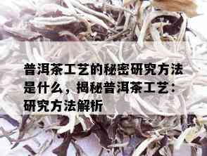 普洱茶工艺的秘密研究方法是什么，揭秘普洱茶工艺：研究方法解析