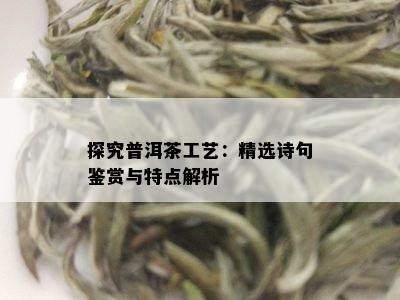 探究普洱茶工艺：精选诗句鉴赏与特点解析