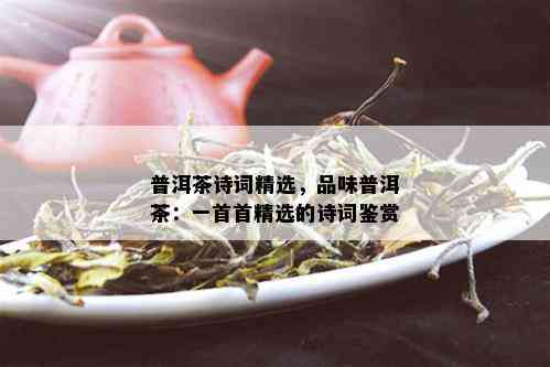 普洱茶诗词精选，品味普洱茶：一首首精选的诗词鉴赏